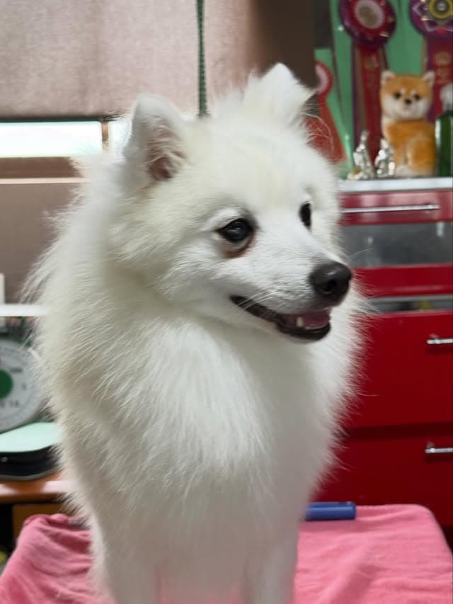 @erenhof_kennel のInstagram投稿(2か月前)