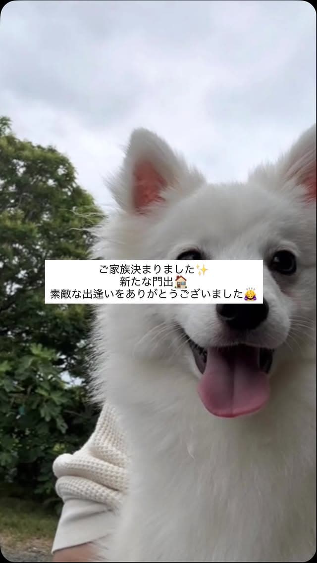 @erenhof_kennel のInstagram投稿(19日前)