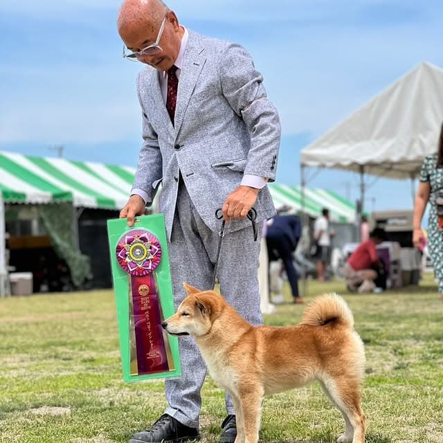 @erenhof_kennel のInstagram投稿(14日前)